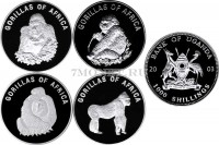 Уганда набор из 4-х монет 1000 шиллингов 2003 год серия "Африканские гориллы"