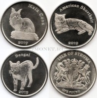Остров Строма набор из 3-х монет 1 фунт 2019 года Кошки
