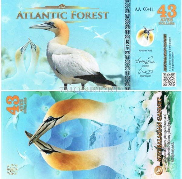 бона Атлантический лес 43 доллара 2019 год Австралийская Олуша