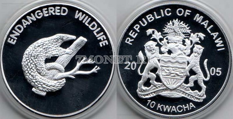 монета Малави 10 квача 2005 год серия "Дикая Фауна" - Броненосец
