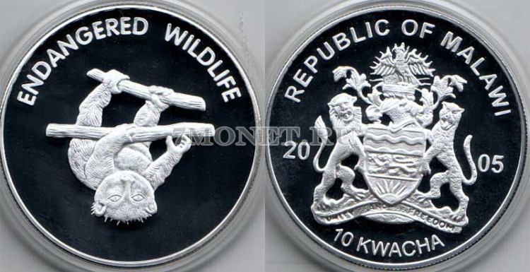 монета Малави 10 квача 2005 год серия "Дикая Фауна" - Лемур