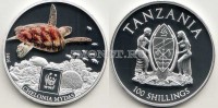 монета Танзания 100 шиллингов 2016 год Зеленая морская черепаха