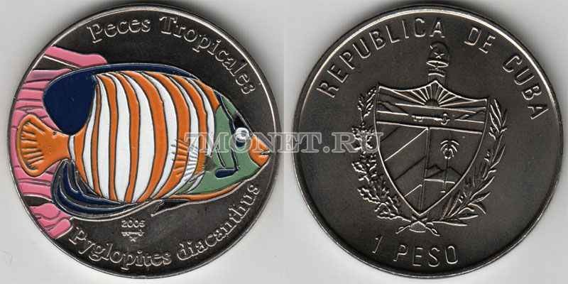 монета Куба 1 песо 2005 год королевская рыба ангел