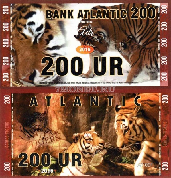 сувенирная банкнота Атлантика 200 ур 2016 год серия ТИГРЫ "Индонезийский тигр"