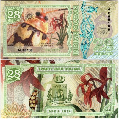 бона Индийский океан 28 долларов 2019 год Kuschelina jacobiana