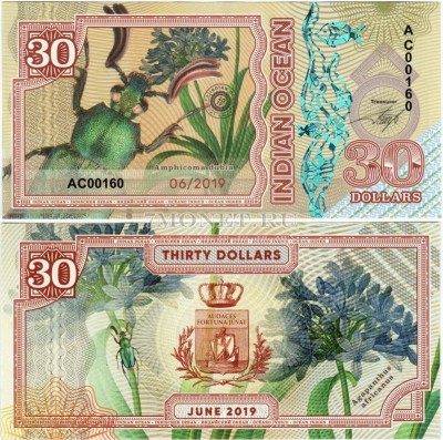 бона Индийский океан 30 долларов 2019 год Amphicoma dubia
