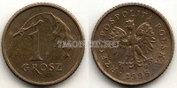 монета Польша 1 грош 1995 год