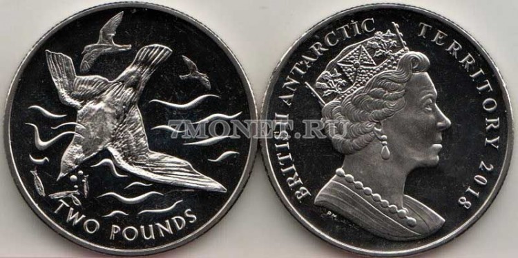монета Британские антарктические территории 2 фунта 2018 год Голубой буревестник