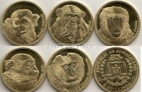 Сомалиленд набор из 5-ти монет 2017 год Обезьяны