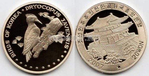 монета Северная Корея 20 вон 2007 год серия: "Птицы Кореи" Белобрюхая желна PROOF