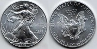 монета США 1 доллар 2013 год Шагающая Свобода