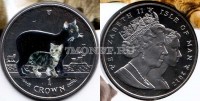 монета Остров Мэн 1 крона 2012 года Мэнская кошка с котенком, эмаль, в блистере
