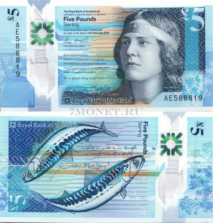 банкнота Шотландия 5 фунтов 2016 год Нэн Шепгерд, пластик