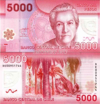 бона Чили 5000 песо 2009 - 2012 год пластик