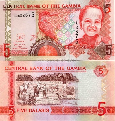 бона Гамбия 5 даласи 2012 год