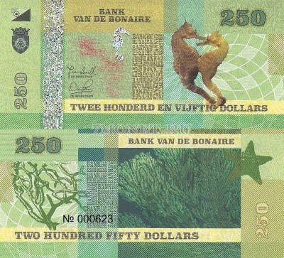 банкнота Бонайре 250 долларов 2015 год Морской конек