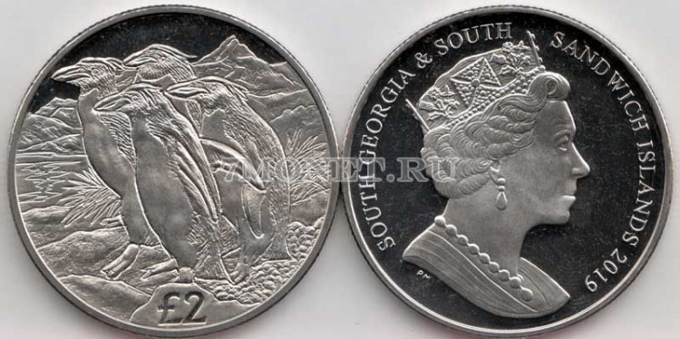 монета Сандвичевы острова 2 фунта 2019 год Золотоволосый пингвин