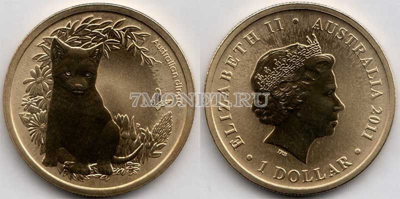 монета Австралия 1 доллар 2011 год Серия детеныши животных - Собака Динго