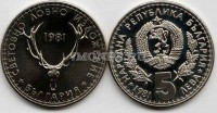 монета Болгария 5 лев 1981 год международная охотничья выставка
