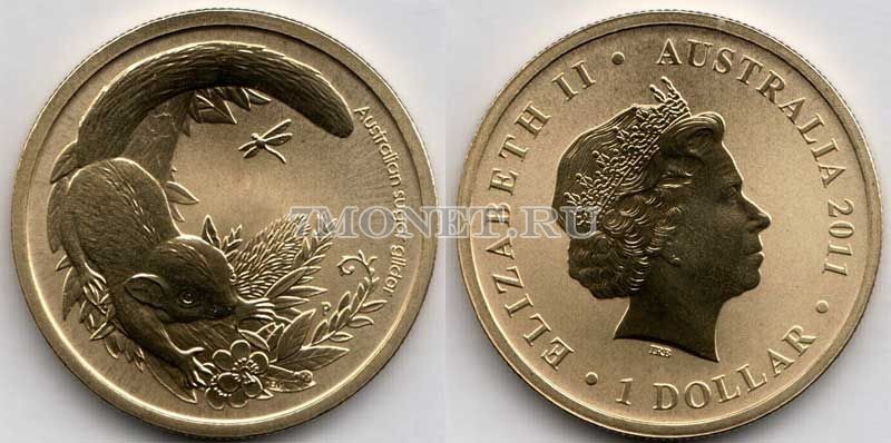монета Австралия 1 доллар 2011 год Серия детеныши животных - Сахарная сумчатая летяга