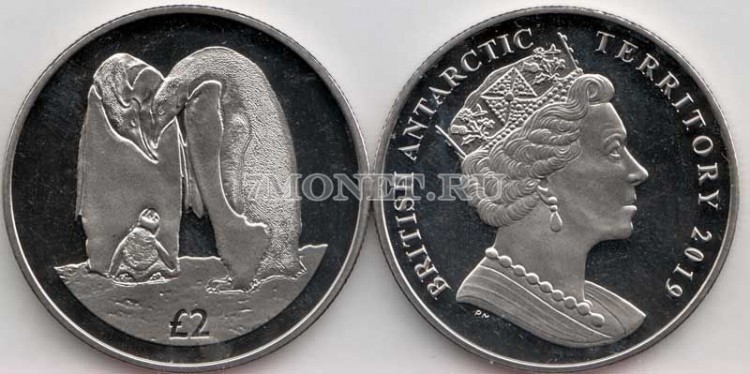 монета Британские антарктические территории 2 фунта 2019 год Императорский пингвин