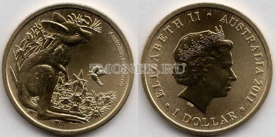 монета Австралия 1 доллар 2011 год Серия детеныши животных - Кенгуру