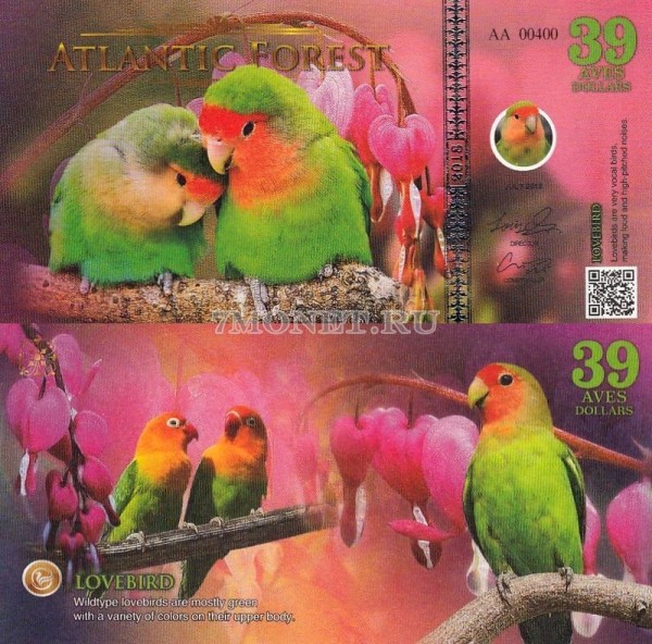 бона Атлантический лес 39 долларов 2018 год Неразлучники