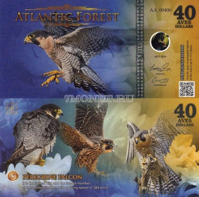 бона Атлантический лес 40 долларов 2018 год Сапсан