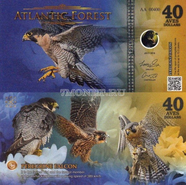 бона Атлантический лес 40 долларов 2018 год Сапсан