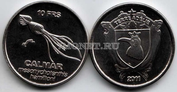 монета Земля Адели  10 франков 2011 год Колоссальный кальмар или мезонихотевтис