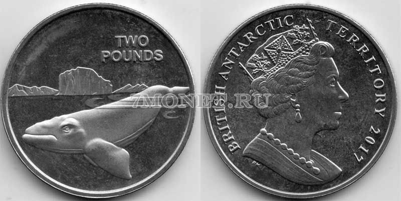 монета Британские антарктические территории 2 фунта 2017 год Кит