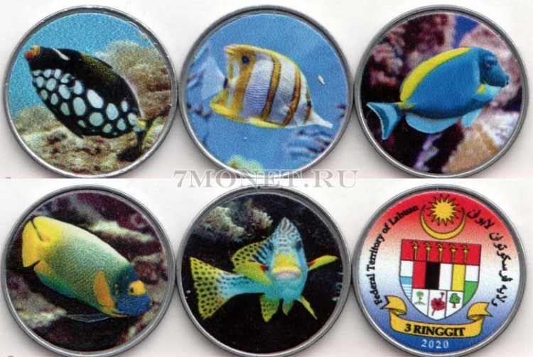 Лабуан набор из 5-ти монет 3 ринггита 2020 год Тропические рыбы, цветные