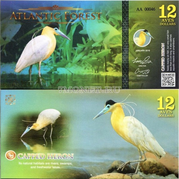 бона Атлантический лес (Южной Америки) 12 долларов 2016 год Цапля Capped