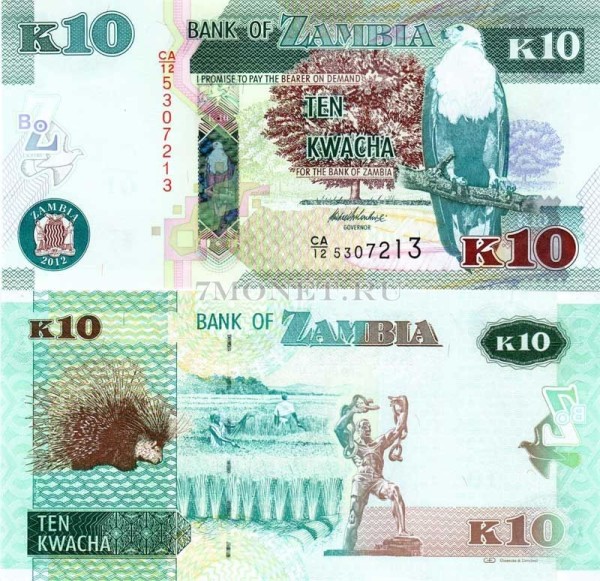 бона Замбия 10 квача 2012 год