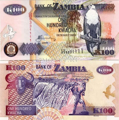 бона Замбия 100 квачей 2006 год