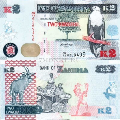 бона Замбия 2 квача 2012 год