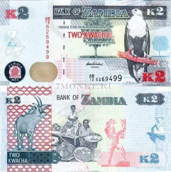 бона Замбия 2 квача 2012 год