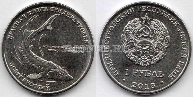 монета Приднестровье 1 рубль 2018 год Русский осётр