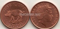 монета Бермуды 1 цент 2000 год Кабан