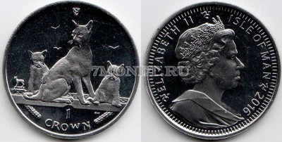 Остров Мэн 1 крона 2016 год кошка Гавана Браун