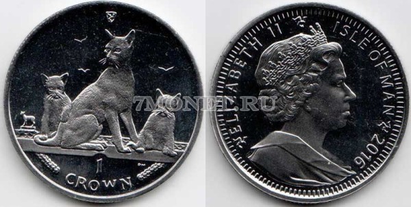 Остров Мэн 1 крона 2016 год кошка Гавана Браун