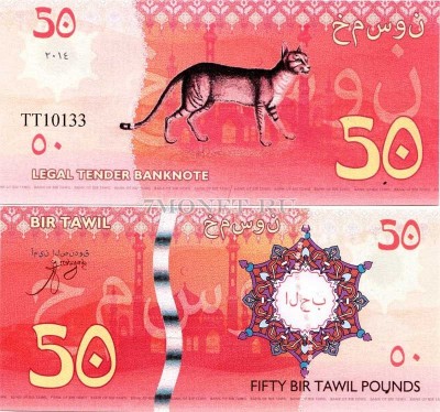 бона Бир-Тавиль 50 фунтов 2014 год