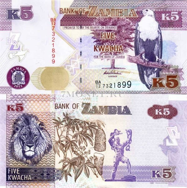 бона Замбия 5 квача 2012 год
