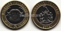 монета Сискей 5 лиранди 2013 год Африканский буйвол