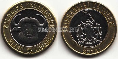монета Сискей 5 лиранди 2013 год Африканский буйвол
