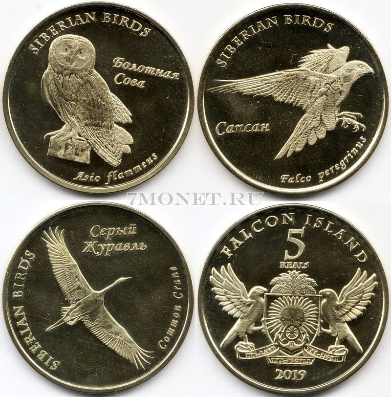 Остров Фалкон набор из 3-х монет 5 долларов 2019 год Птицы Сибири