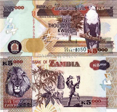 бона Замбия 5000 квача 2010 год 