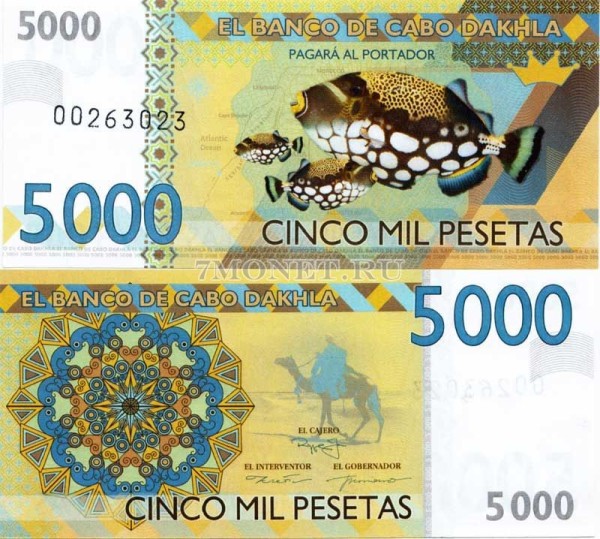 бона Кабо Дахла 5000 песет 2013 год