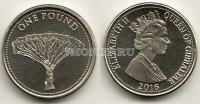 монета Гибралтар 1 фунт 2016 год Драконово дерево