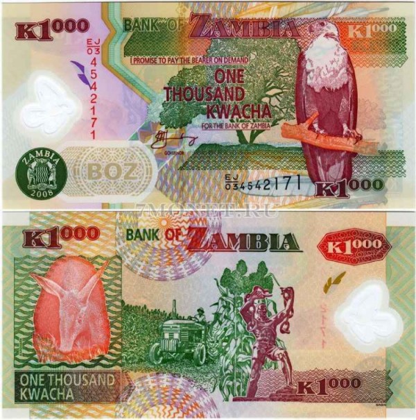 бона Замбия 1000 квачей 2003-11 год пластик